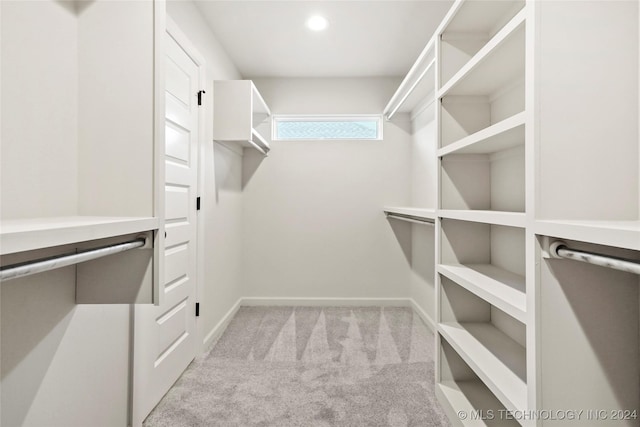 walk in closet with light colored carpet