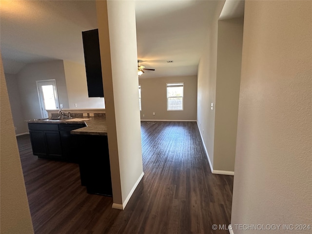 hallway with dark wood-type flooring and sink