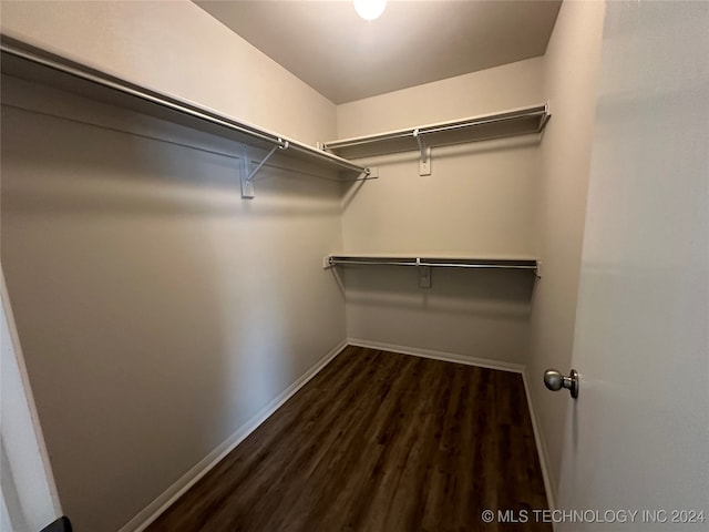 spacious closet with dark hardwood / wood-style flooring