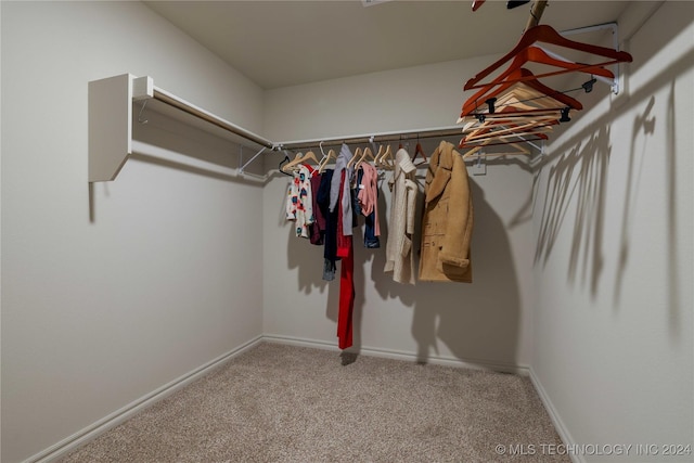 spacious closet featuring carpet