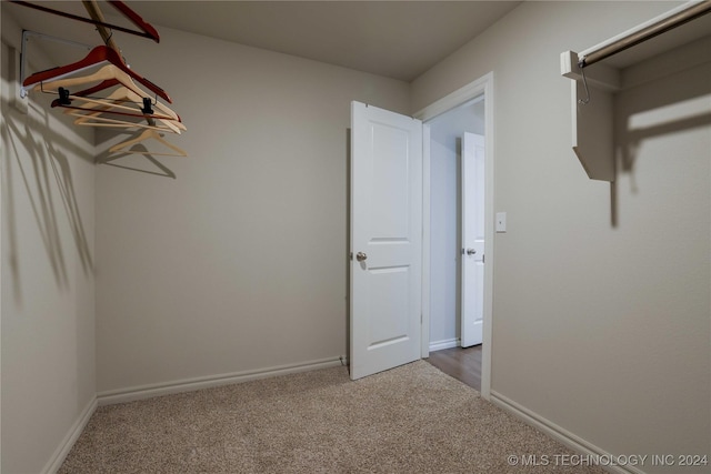 spacious closet with carpet floors