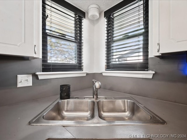 room details featuring white cabinetry and sink