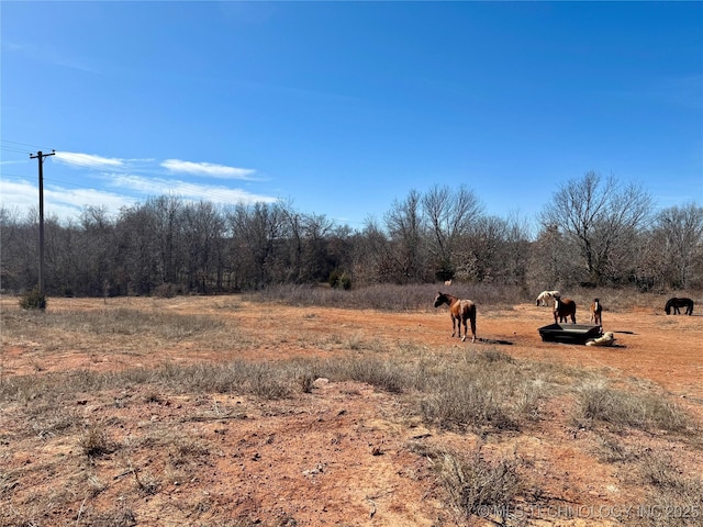 view of landscape featuring a rural view