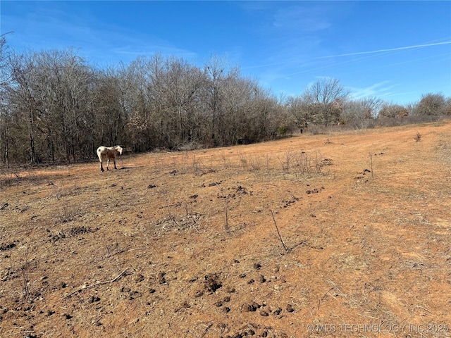 view of nature with a rural view