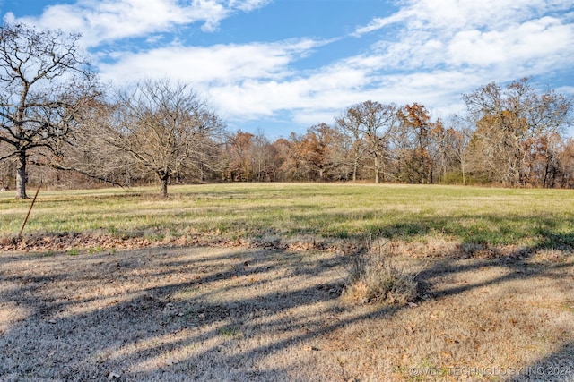 view of yard with a rural view