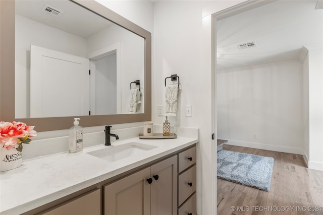 bathroom featuring wood-type flooring and vanity