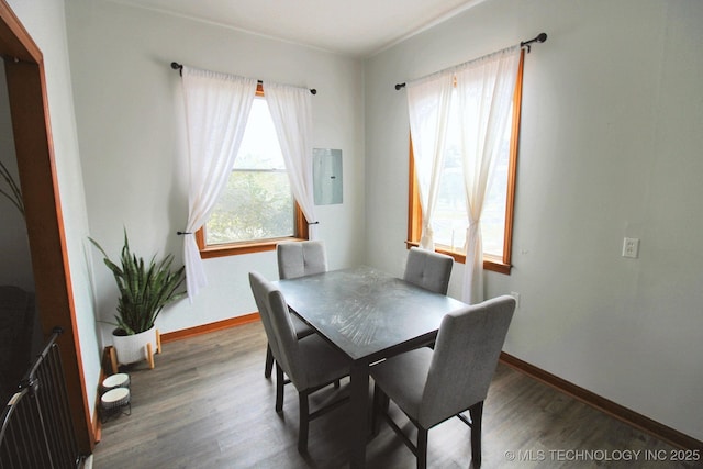 dining room with dark hardwood / wood-style floors and radiator