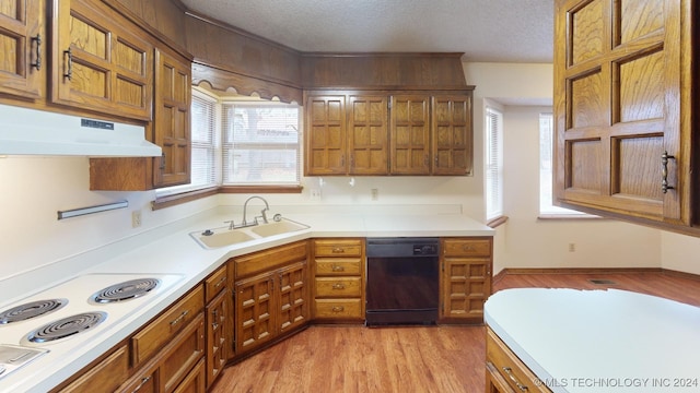 kitchen featuring sink, black dishwasher, white electric cooktop, a textured ceiling, and light wood-type flooring