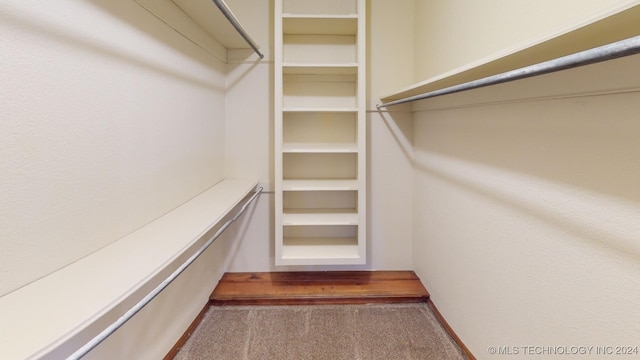 spacious closet with carpet