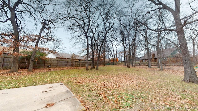 view of yard with a patio