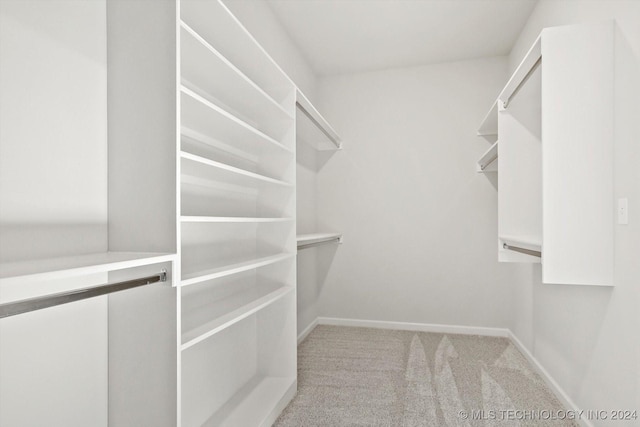 spacious closet featuring light colored carpet