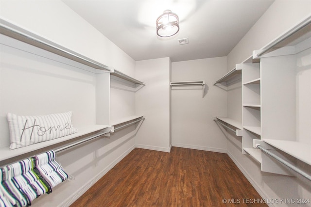 walk in closet with dark wood-type flooring