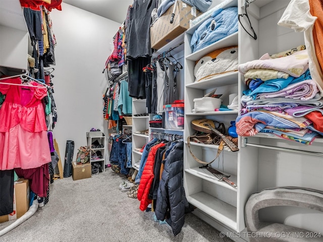 spacious closet with carpet floors