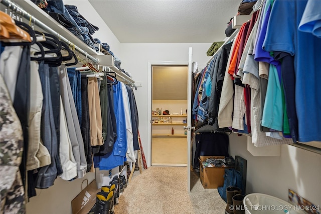 spacious closet featuring carpet floors