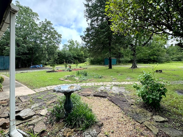 view of yard with a storage shed