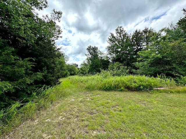 view of local wilderness