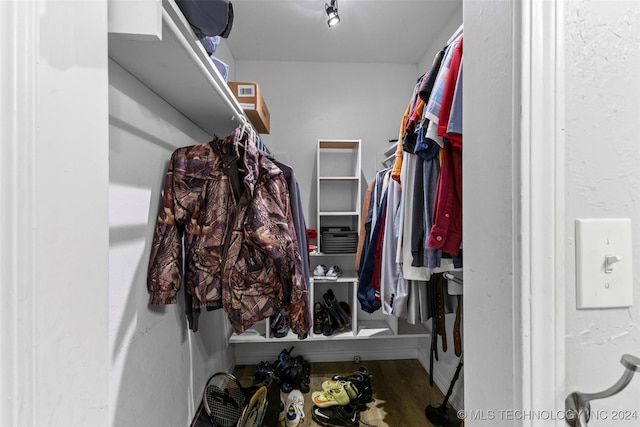 walk in closet with wood-type flooring