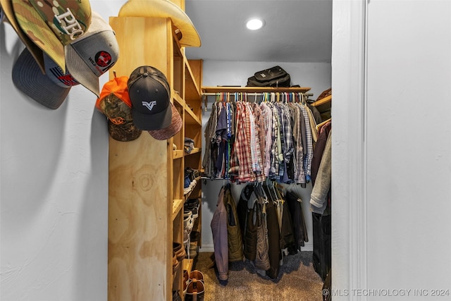 walk in closet with carpet floors