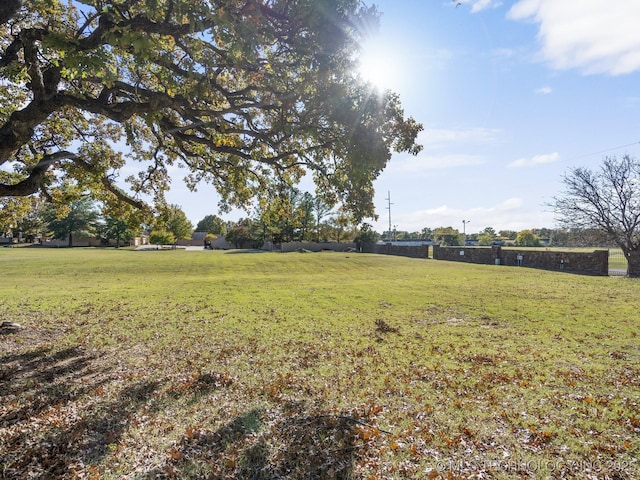 view of yard