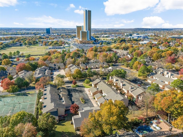 bird's eye view