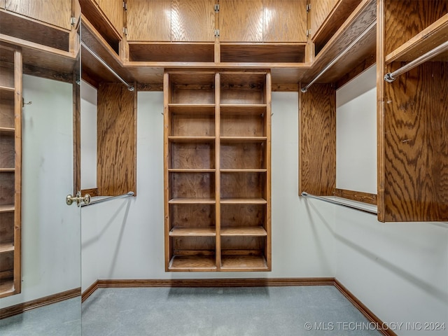 spacious closet with carpet floors