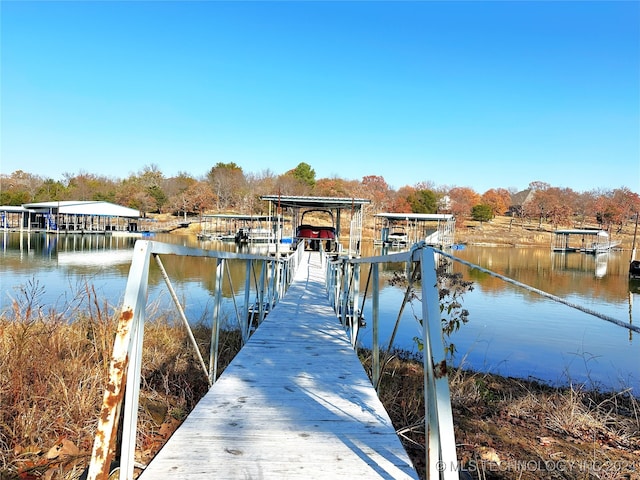 dock area with a water view