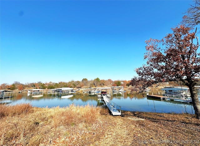 dock area with a water view