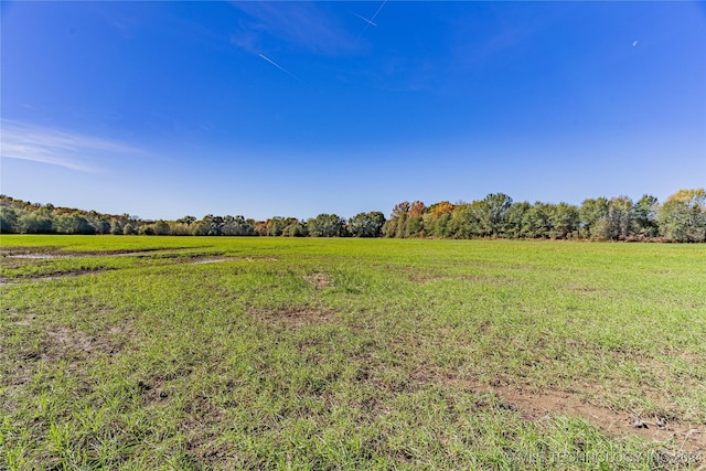 view of yard featuring a rural view