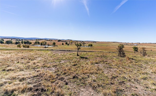 view of yard with a rural view