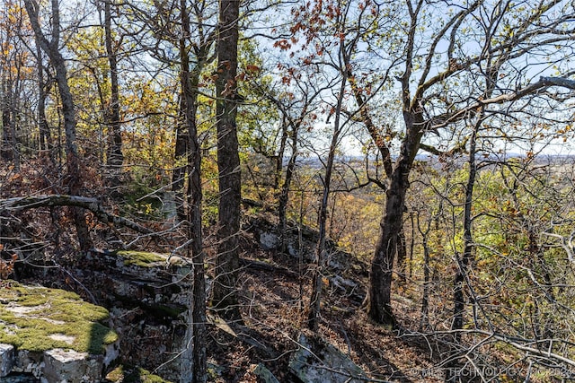 view of landscape