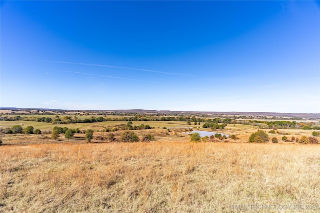 view of local wilderness with a rural view