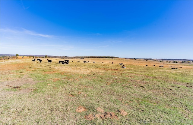 view of yard with a rural view