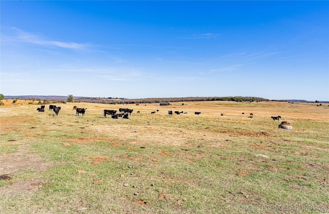 view of landscape featuring a rural view