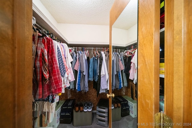 walk in closet featuring carpet floors