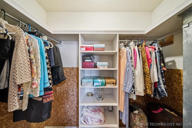 view of walk in closet