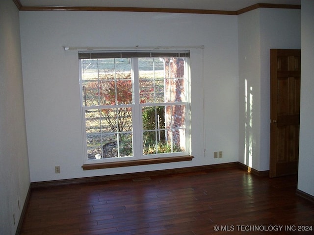 spare room featuring dark hardwood / wood-style floors, ornamental molding, and a wealth of natural light