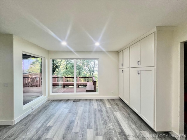 interior space featuring light wood-type flooring and a wealth of natural light