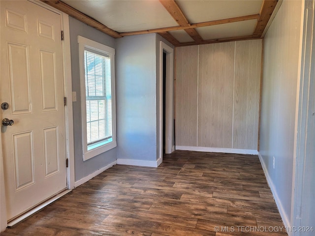 entrance foyer with dark wood-type flooring