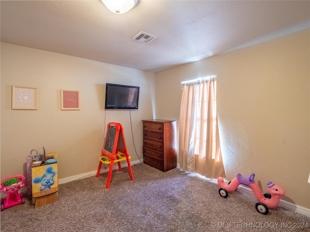 playroom featuring carpet floors