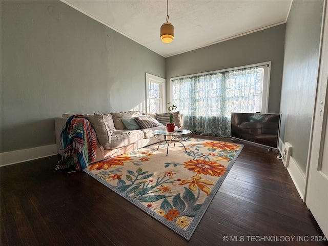 living room featuring plenty of natural light and dark hardwood / wood-style floors