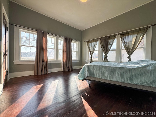 bedroom featuring multiple windows and dark wood-type flooring