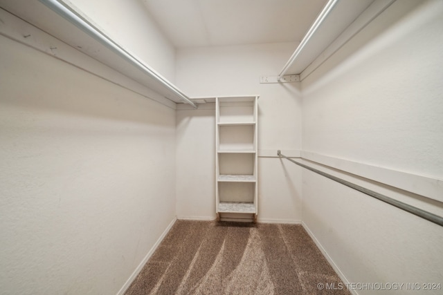 spacious closet featuring dark carpet