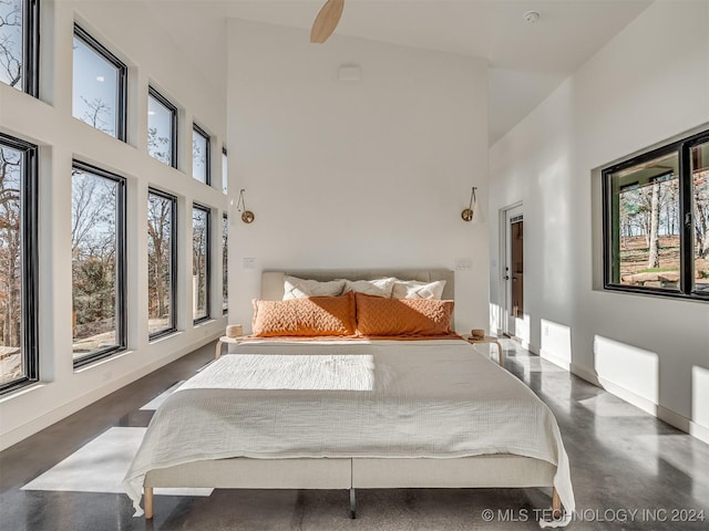 bedroom with a towering ceiling and multiple windows