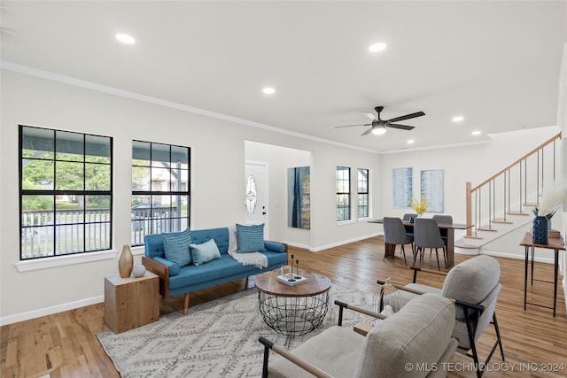 living room with ceiling fan, light hardwood / wood-style flooring, and ornamental molding