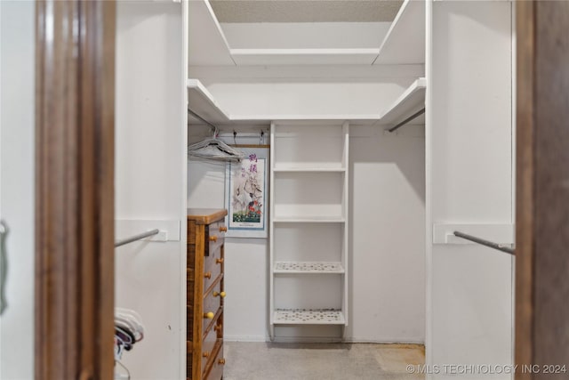 view of walk in closet