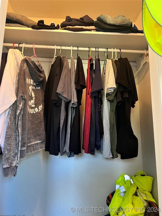 view of closet