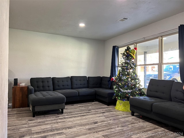 living room featuring wood-type flooring