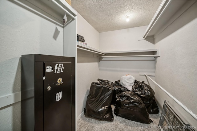 walk in closet featuring carpet floors