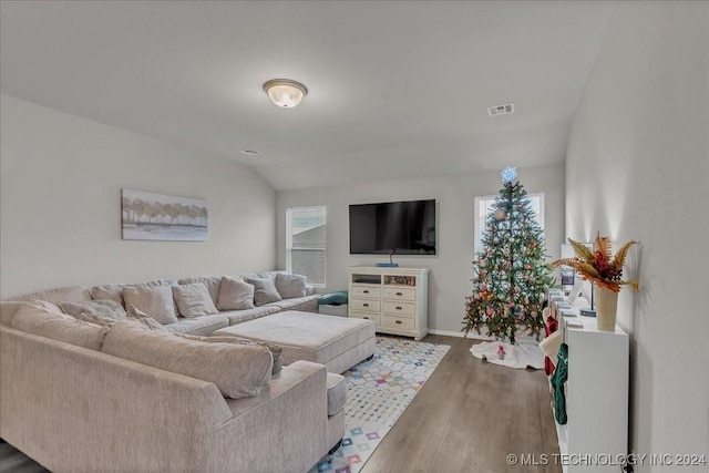 living room featuring lofted ceiling and dark wood-type flooring