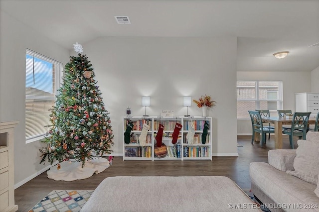 living room with lofted ceiling and dark wood-type flooring